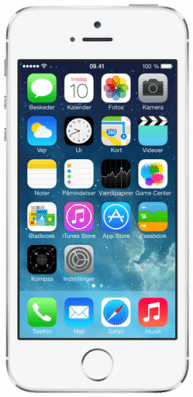 Apple iPhone 5S 16 GB